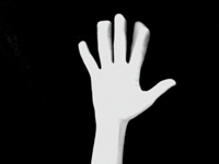 Step Two: Wrist Motion In ASL Diacritics illustration fluttermove Step Two: Wrist Motion In ASL Diacritics